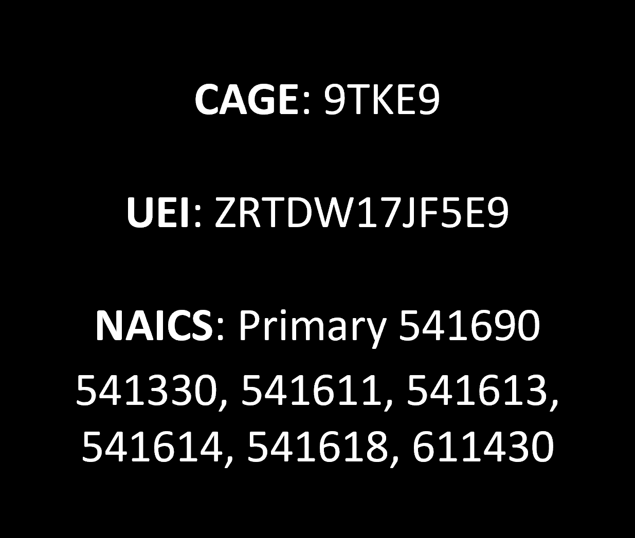 CAGE UEI NAICS